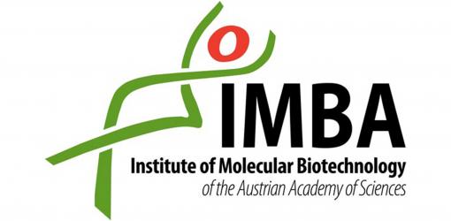 Imba logo ©IMBA